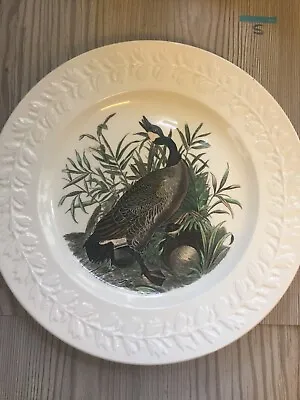 Buy Adams China The Birds Of America Snow Goose Plate • 18.99£