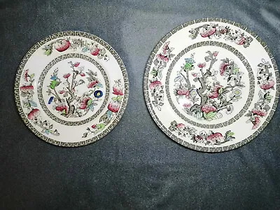 Buy John Maddock And Sons Ltd Indian Tree Plates 20cm /18cm Vintage Made In England. • 12£