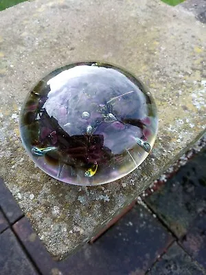 Buy Isle Of Wight Studio Glass Paperweight 100mm Diameter. Possibly Heather Series. • 10£