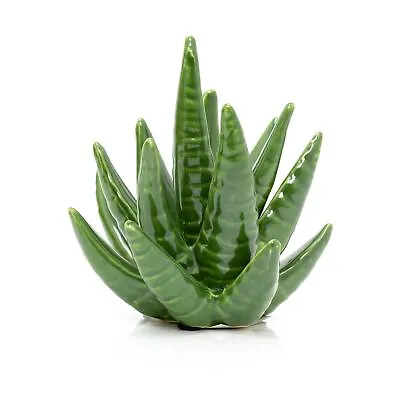 Buy Ceramic Succulent Ornament | Decorative Green Aloe Vera Cactus Plant Statue • 14.99£