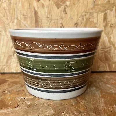 Buy Dragon Welsh Pottery Rhayader Hand Painted Striped Plant Pot Planter 17x11cm • 9.99£