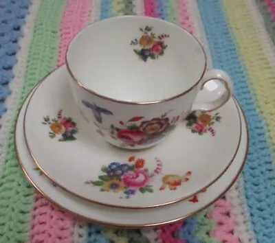 Buy Vintage Floral China Trio Cup Saucer Plate Set Cauldon China Vgc • 6£