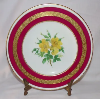 Buy Antique Ridgway Hand Painted Floral Primrose Dessert Plate 1139 With Gilding 9  • 17.60£