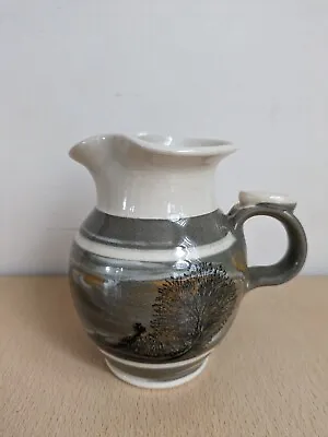 Buy Boscastle Pottery Jug Roger Irving Glazed Great Condition  • 9.95£
