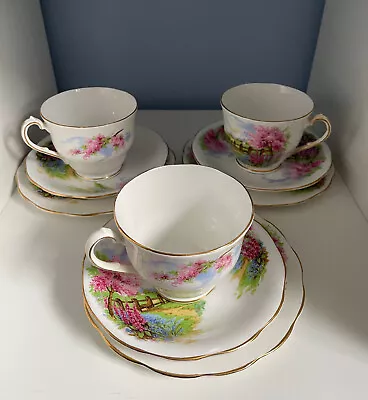 Buy THREE SETS - QUEEN ANNE CHINA  Meadowside  PATTERN TRIO CUP SAUCER PLATES 3 Sets • 18£