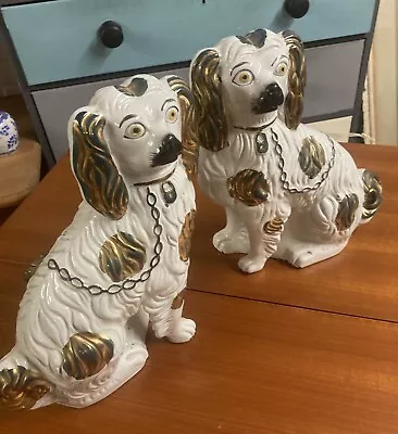 Buy Antique Staffordshire Dogs King Charles Spaniel Pair • 45£