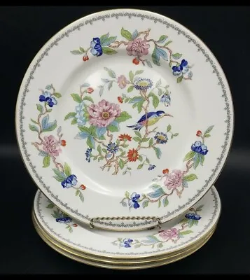 Buy AYNSLEY Pembroke Dinner Plate(s) 10 5/8” Qty 4 Bone China Multicolor Floral Bird • 75.61£