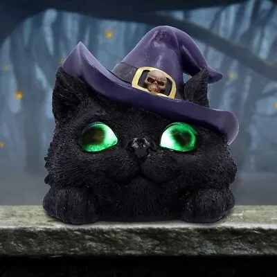 Buy Familiar Grin LED Cat Glowing Eyes Figurine Witch Hat Skull Black Kitty Nemesis • 21.99£