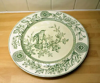 Buy Aesthetic Green Transfer TG&F Booth Plate - Richmond 10.5   - Stained Crazing • 7.99£