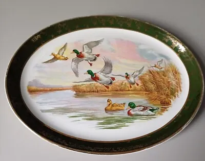 Buy Weatherby Hanley Royal Falcon Ware Plate Mallard Duck Pattern Platter Collectors • 11.95£