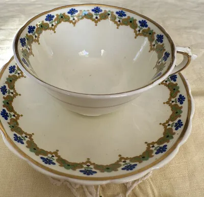 Buy Tuscan PLANT Fine English Bone China Tea Cup Saucer Set. England, Vintage RARE • 37.93£