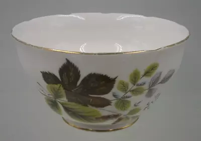 Buy Ridgway Potteries Queen Anne Bone China Sugar Bowl • 4£