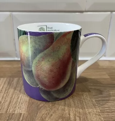 Buy 'Hooker's Fruit Vivid Mulberry ' Fine Bone China Mug By Queens For The RHS • 10£