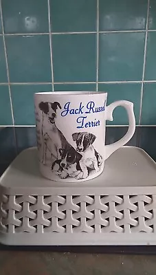Buy Ceramic Mug Featuring Jack Russell Dogs Norfolk China • 2.35£