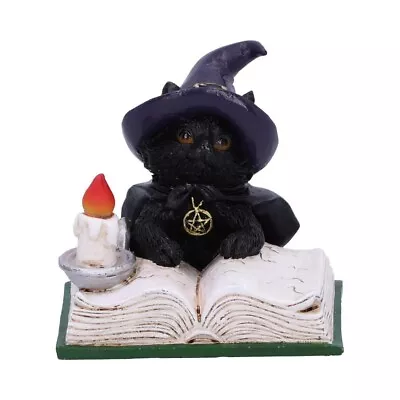 Buy NEW Familiars Spell Black Cat Figurine Witches Cat Figure Ornament  8cm Boxed • 10.85£