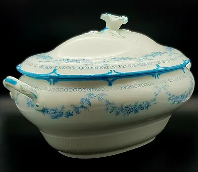 Buy Rare Late Victorian Cauldon England Sky Blue & White Soup Tureen • 95£