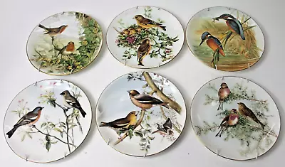 Buy Set Of 6 Coalport Bone China Plates From John Gould's Birds Of GB (1015)* • 29.99£