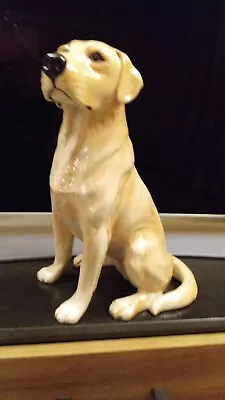 Buy Beswick Large Golden Labrador, Fireside Model No. 2314 In Excellent Condition  • 69.99£
