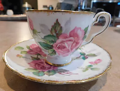 Buy Berkeley Rose Royal Stafford Bone China Pink Rose Pattern Cup And Saucer • 20.82£