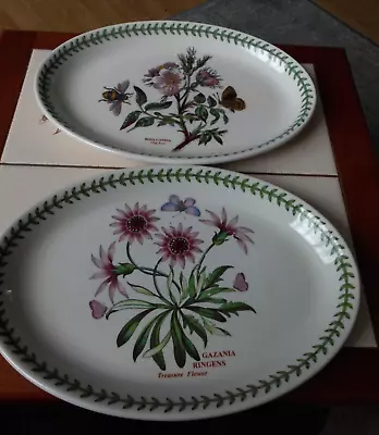 Buy Portmeirion Botanic Gardentwo Oval Steak Plates Seconds As Shown • 10£