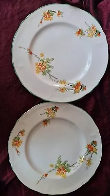 Buy Two Beautiful Art DECO Grindley CREAMPETAL Dinner Plates 25cm Orange Flowers  • 11£