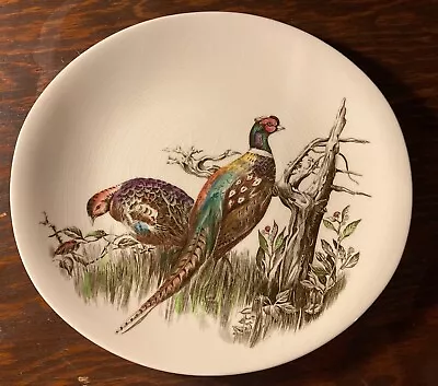 Buy Johnson Brothers Game Birds Oval Dinner Plate Pheasant  • 19.28£