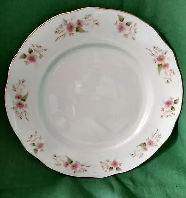 Buy Duchess Bone China England Glen 316 Dinner Plate 9.5  • 9£