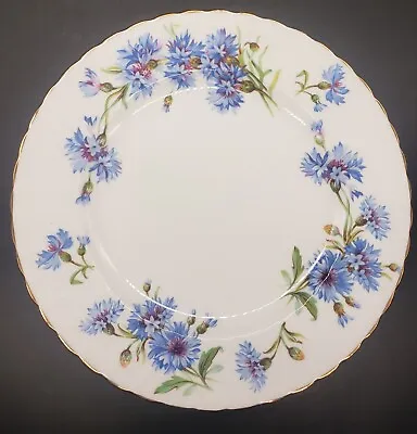 Buy Vintage Adderley England Blue Cornflower Fine Bone China 8 Inch Luncheon Plate • 14.23£
