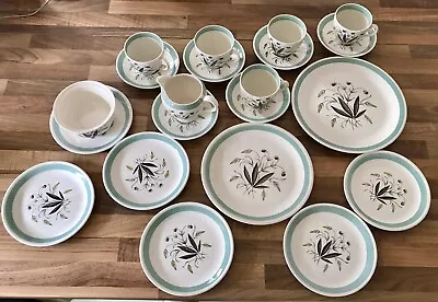 Buy Alfred Meakin Hedgerow China Retro Vintage 21 Piece Cups Saucer Sugar Plates Jug • 46.75£