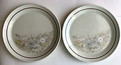 Buy Royal Doulton Lambethware Florinda 2 Large Plates 24.5cm (9.5 ) • 10.95£