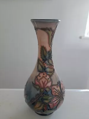 Buy MOORCROFT POTTERY - Sweet Briar Vase 1997/8. Rachel Bishop. • 49.99£