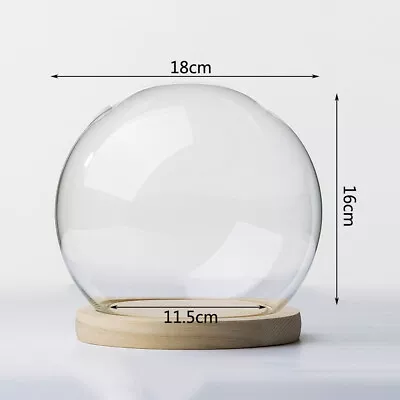 Buy Multi Size Miniature Glass Dome Display Bell Jar W/ Wooden Base For Doll Storage • 45.99£
