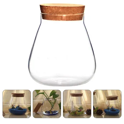 Buy 1Pc Glass Bottles Cork Glass Jar Glass Succulent Pot Terrarium Jar With Lid • 9.88£