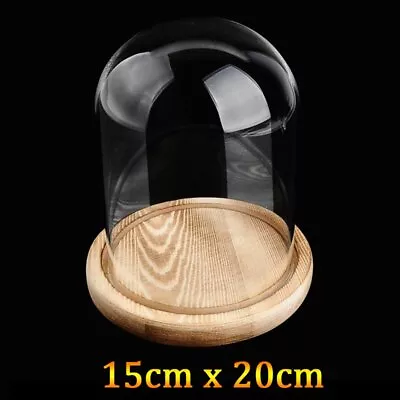 Buy Transparent Glass Dome With Wooden Base Cloche Bell Jar DIY Decor Display Stand • 13.99£
