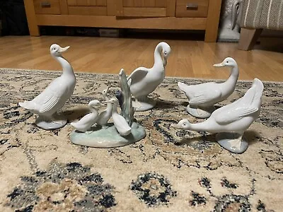 Buy Nao Lladro Figurines Ducks • 25£