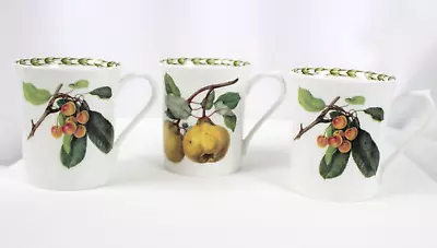 Buy 3 Queen's Hookers Fruit Fine Bone China Cups Mugs Pears Peaches Made In England • 17.26£