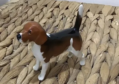 Buy Vintage Beswick Champion Beagle 'Wendover Billy'  Dog Lover Lovely Condition • 5£
