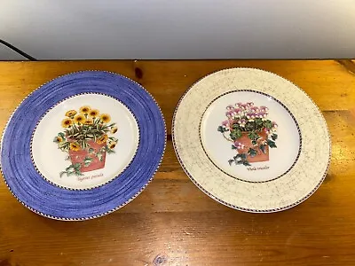 Buy Wedgwood Sarah’s Garden Side  Plates 8.25 Ins Viola And Patula VGC Queen’s Ware • 14.99£