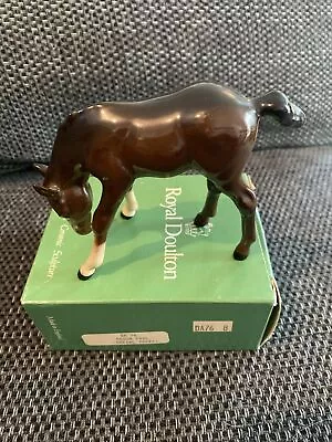 Buy Royal Doulton Foal With Head Down Gloss Brown 1989 • 18.99£
