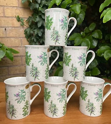 Buy Set Of 6 Fine China Coffee Tea Mugs Herb Garden Pattern • 22.99£