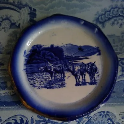 Buy Vintage Lovely Arthur Wood Longport  Highland Cattle Blue White Teapot Stand  • 12.99£