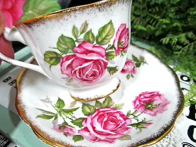 Buy ROYAL STANDARD Tea Cup And Saucer Orleans Rose Pink Rose Teacup England 1940s  • 18.94£