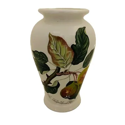 Buy Vintage Portmeirion Pomona Vase The Leinton Squash Pear Ceramic Small Posy White • 10.49£