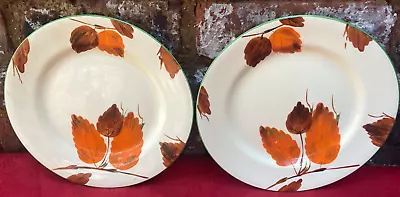 Buy Pair Antique Wilkinson Honeyglaze Dinner Plates.Hand Painted Autumn Leaves.8927A • 12.95£
