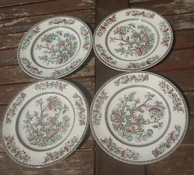 Buy JOHNSON BROTHERS INDIAN TREE DINNER PLATES X 4 • 8.95£