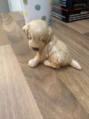 Buy Vintage Small Sylvac Puppy Labrador  Dog • 7.99£