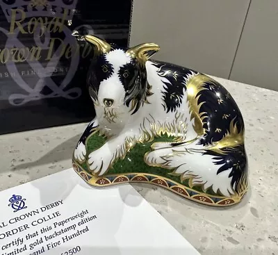 Buy Royal Crown Derby Paperweight 'Border Collie' Boxed Ltd/Ed Autographed Exclusive • 50£