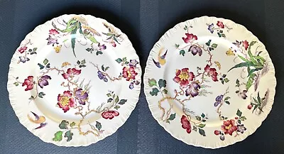 Buy Two Antique Wedgwood Etruria - Swallow Pattern AK9671 - Dinner Plates • 10£