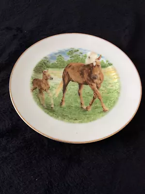 Buy Fenton China ‘horse & Foal’ Decorative Plate • 1.50£