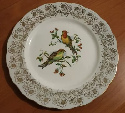 Buy Vintage Melba Ware Bone China Plate, Featuring 2 Exotic Birds 1950's • 8£